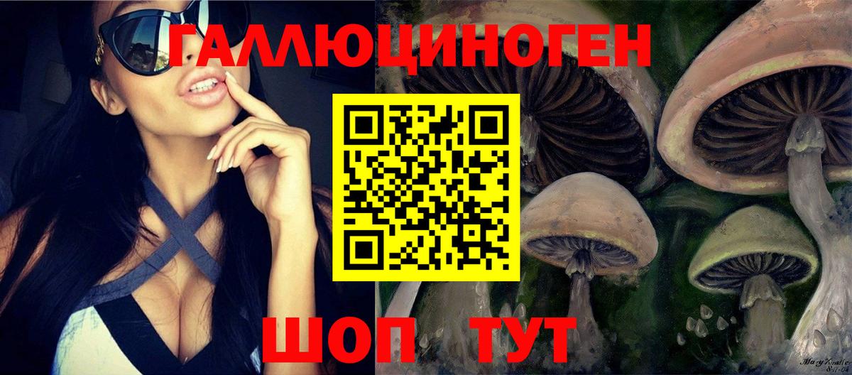 Ирбит  Псилоцибиновые грибы GOLDEN TEACHER  Галлюциногенные грибы ЛСД  Вход с VPN 