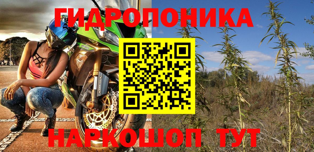 Каннабис планчик  Вход с VPN  Шишки марихуана ГИДРОПОН  МАРИХУАНА Bruce Banner  Ирбит  Конопля White Widow 